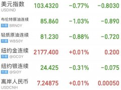 菜鸟应专注于拓展全球物流网